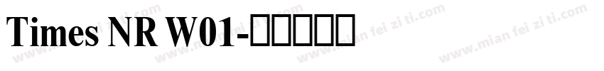 Times NR W01字体转换